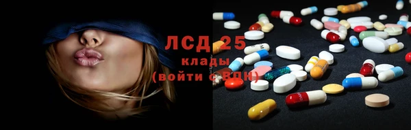 прущие крисы Алзамай