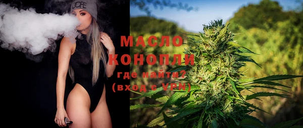 мет Алексин