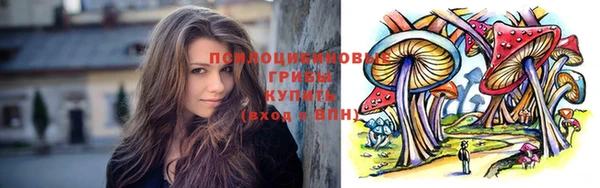 ГАЛЛЮЦИНОГЕННЫЕ ГРИБЫ Алексеевка