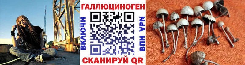Псилоцибиновые грибы прущие грибы  Псков 